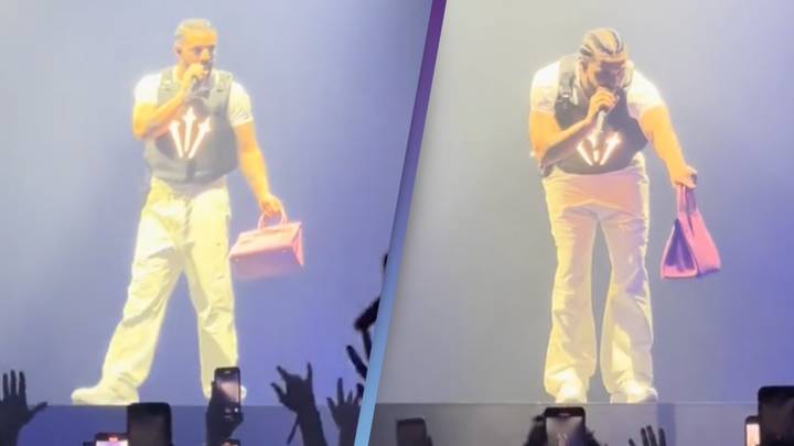 Drake Gifts Lucky Fan Pink Birkin Bag Worth $30K During L.A. Concert: 'Make  Sure She Has Security' (Video)