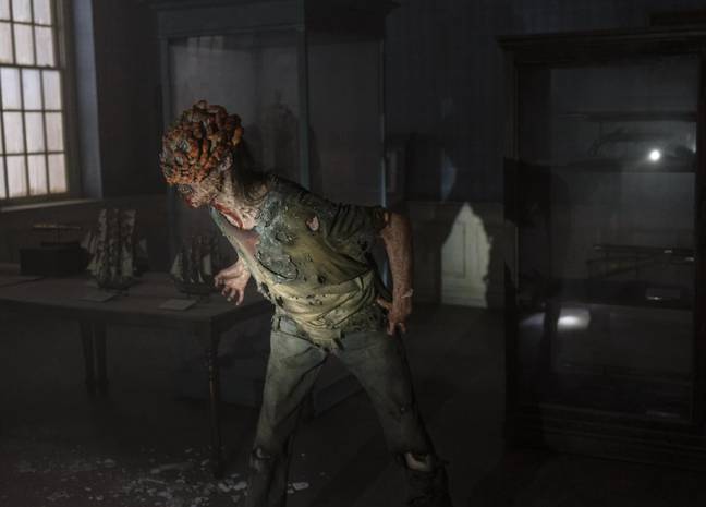 Dans l'émission HBO, le champignon cordyceps transforme ses malchanceuses victimes en zombies.  Crédit : HBO