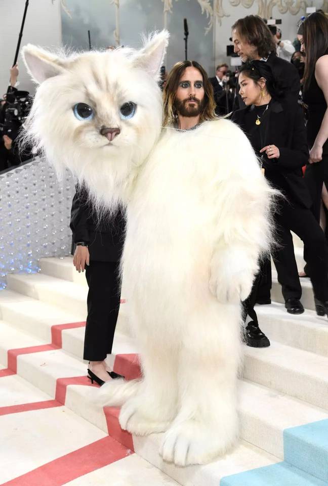 Aubrey Plaza had a brutal response to Jared Leto's Met Gala cat outfit