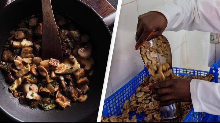 ANSES and the DGCCRF reiterate the importance of cooking shiitake mushrooms  thoroughly before eating to avoid poisoning
