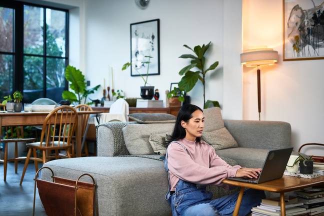 Renter Makes Apartment Upgrades, Sparks Debate Online