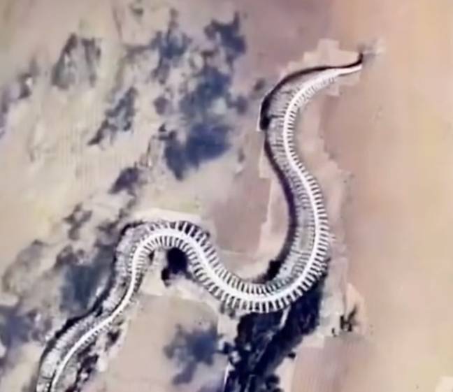 You Can Now Play Snake On Google Maps - LADbible