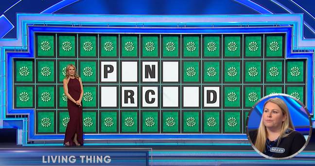 Megan made several guesses about what the puzzle read. Credit: NBC/Wheel of Fortune
