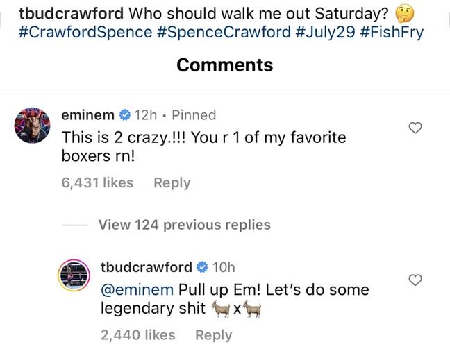 This is crazy' - Eminem set for ring walk with Terence Crawford