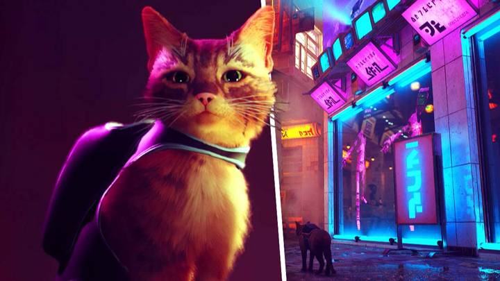Cyberpunk Cat Game Stray Coming July 19, Will Be Free Through PlayStation  Plus' Higher Tiers - GameSpot