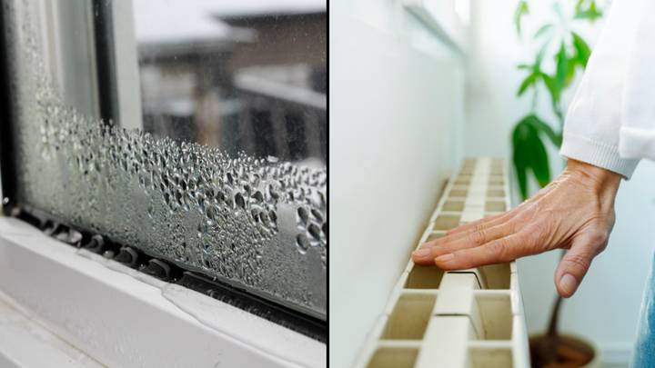 HOW TO STOP CONDENSATION ON WINDOWS  Stop condensation in winter on  windows 