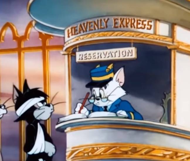 Tom and Jerry fans in tears over dark resurfaced kitten episode