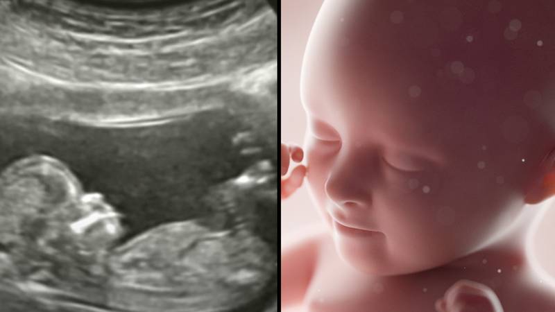 非凡的模拟显示婴儿在子宫内可以听到什么