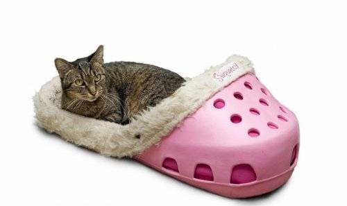 This Giant Croc-Shaped Pet Bed Will Keep Your Slipper-Loving Dog Happy And  Cozy