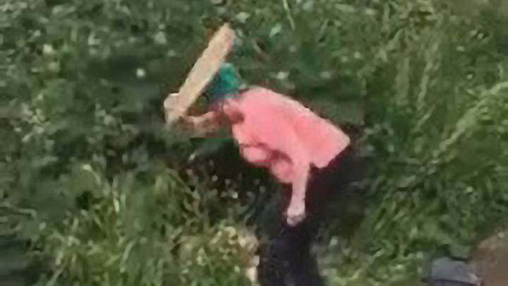 生气的女人在灌木丛中抓住性爱后与木板打屁股