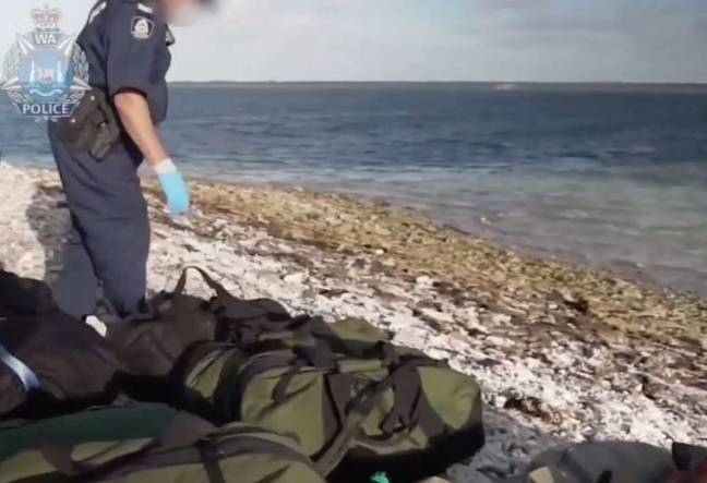 Police Reveal Huge Seal Helped Them Stop 1 Billion Worth Of Drugs Getting Into Australia Ladbible