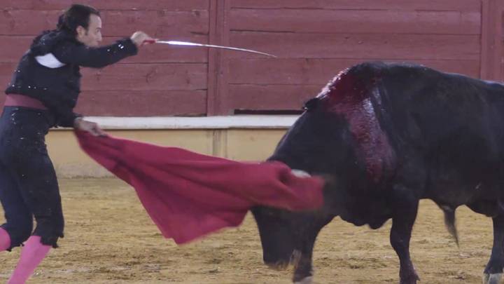 自锁定以来，西班牙的第一次斗牛提示了新的呼吁禁令
