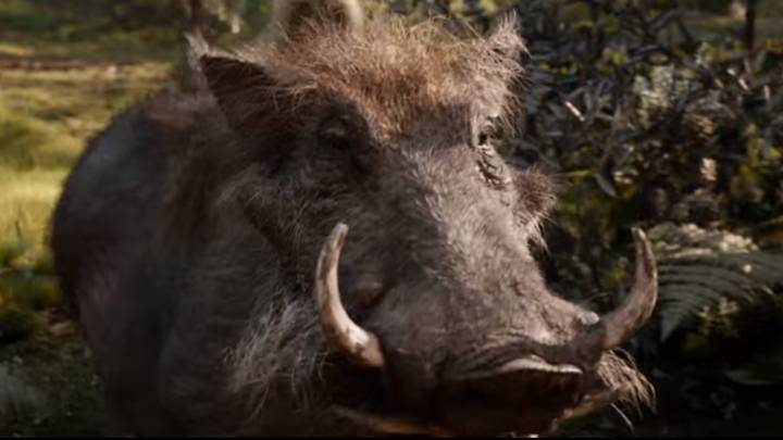 Some People Reckon Pumbaa Looks ‘Scary’ In The New Lion King Movie ...