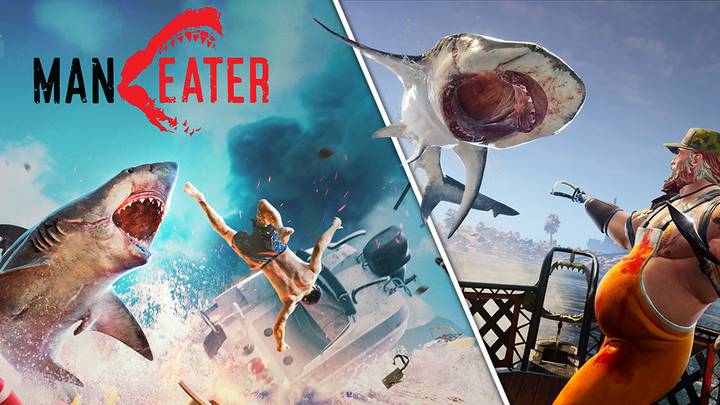 Maneater Review  A shark power fantasy that's Jaws but with flaws
