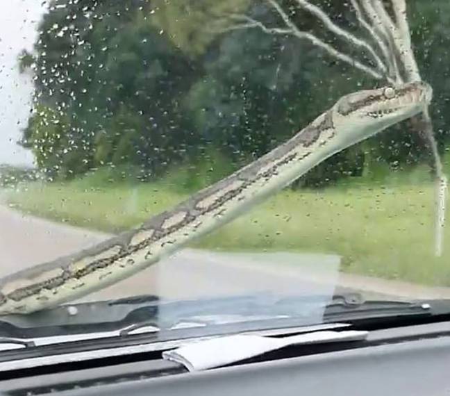 Tested: The inShield Wiper Is Surprisingly Genius
