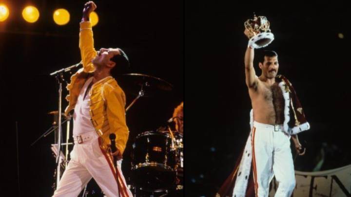 Freddie Mercury Is The Greatest Singer Of All Time, According To Science -  LADbible