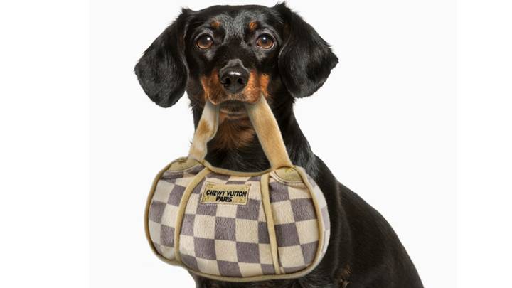 Checker Chewy Vuiton Purse Dog plush – Canini Shop