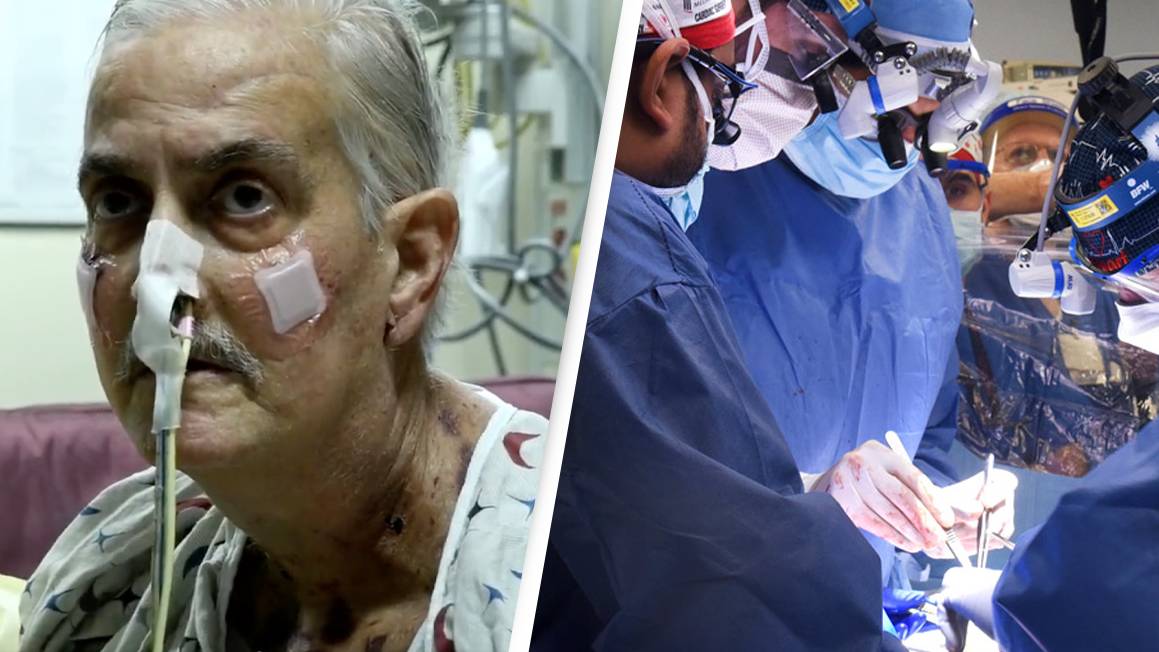 Pig Heart Transplanted Into Dying Man Had Virus, Report Finds