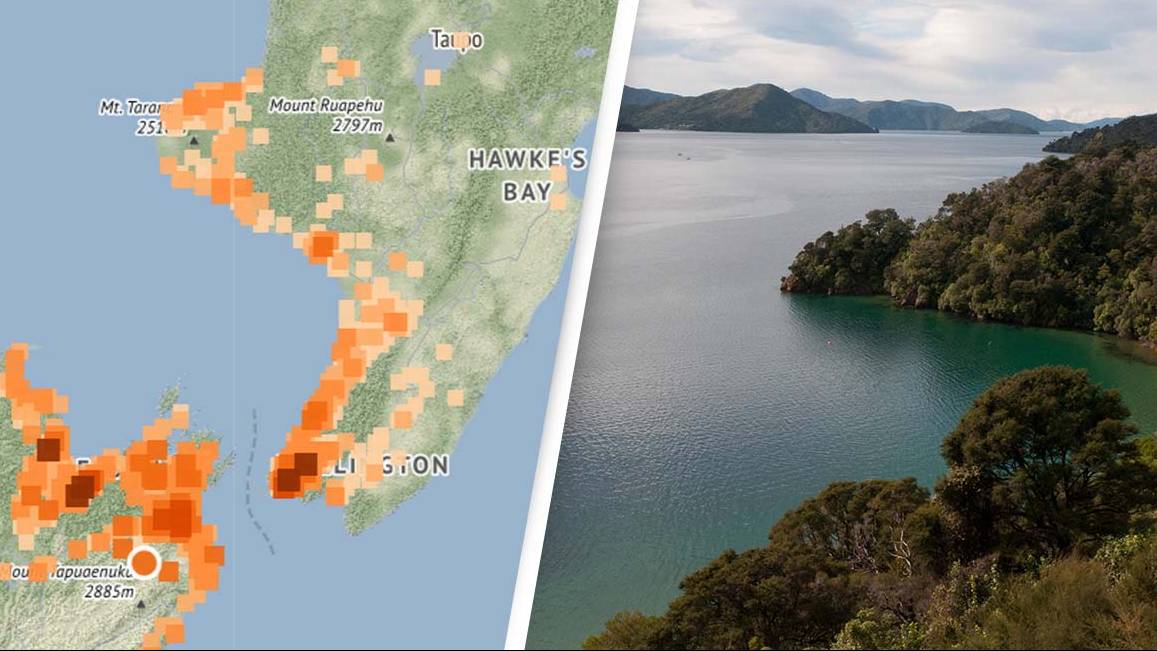 New Zealand was hit by a 5.6-magnitude earthquake