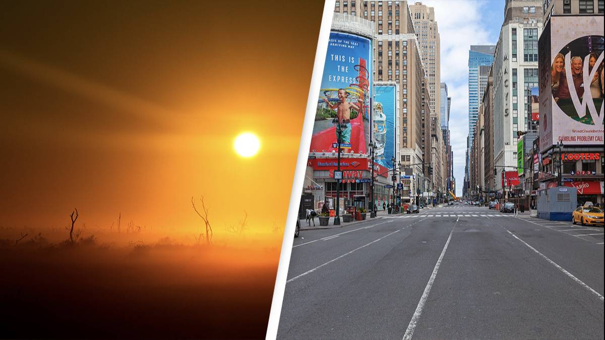 Humans Going Extinct Scientist Says That Humans Are Almost Certainly Going Extinct