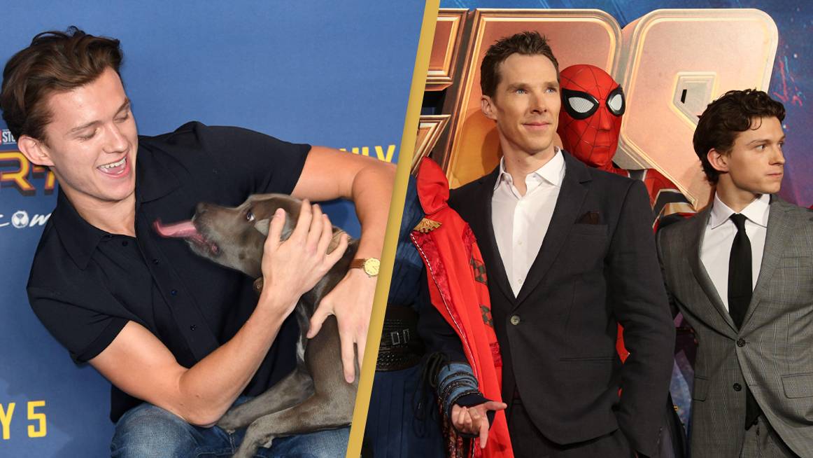 Tom Cumberbatch Tom Holland Reveals How His Dog Annoyed Benedict Cumberbatch On Set