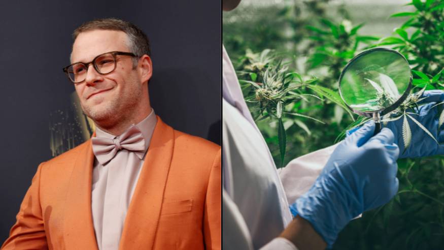 Set Rogan Weed Seth Rogen Believes The World Needs Get Rid Of The 'Stigma' Attached To ...