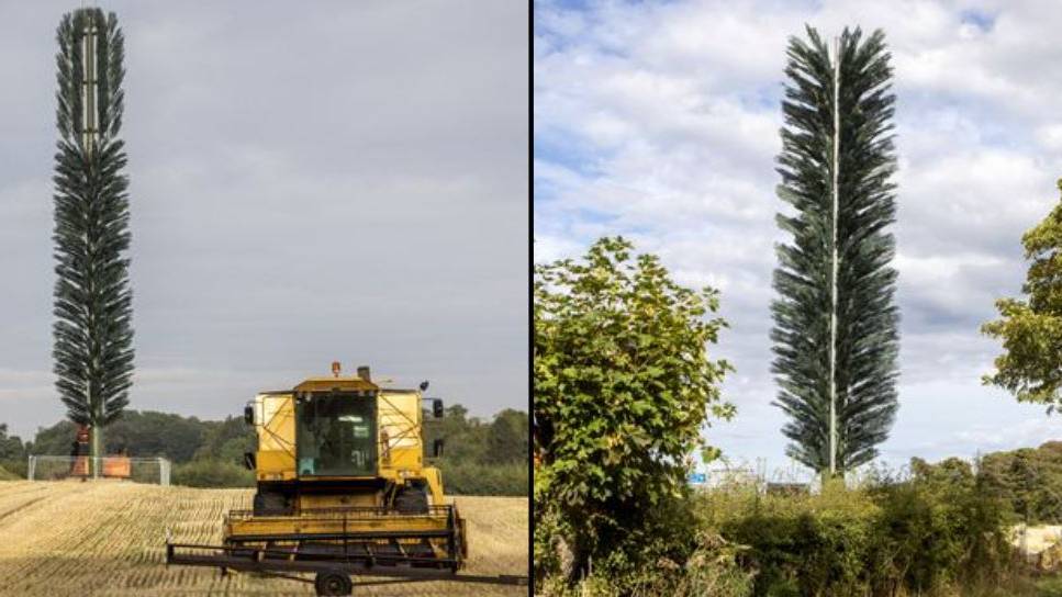 UK news: Phone mast disguised as massive tree compared to ‘gigantic ...