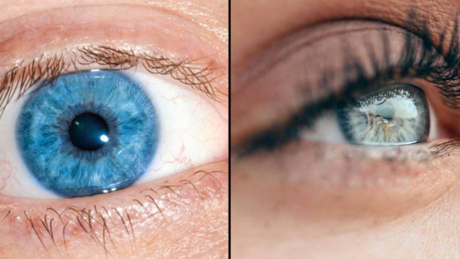 Every blue eyed person on Earth is a descendant of one single person, scientists find - LADbible