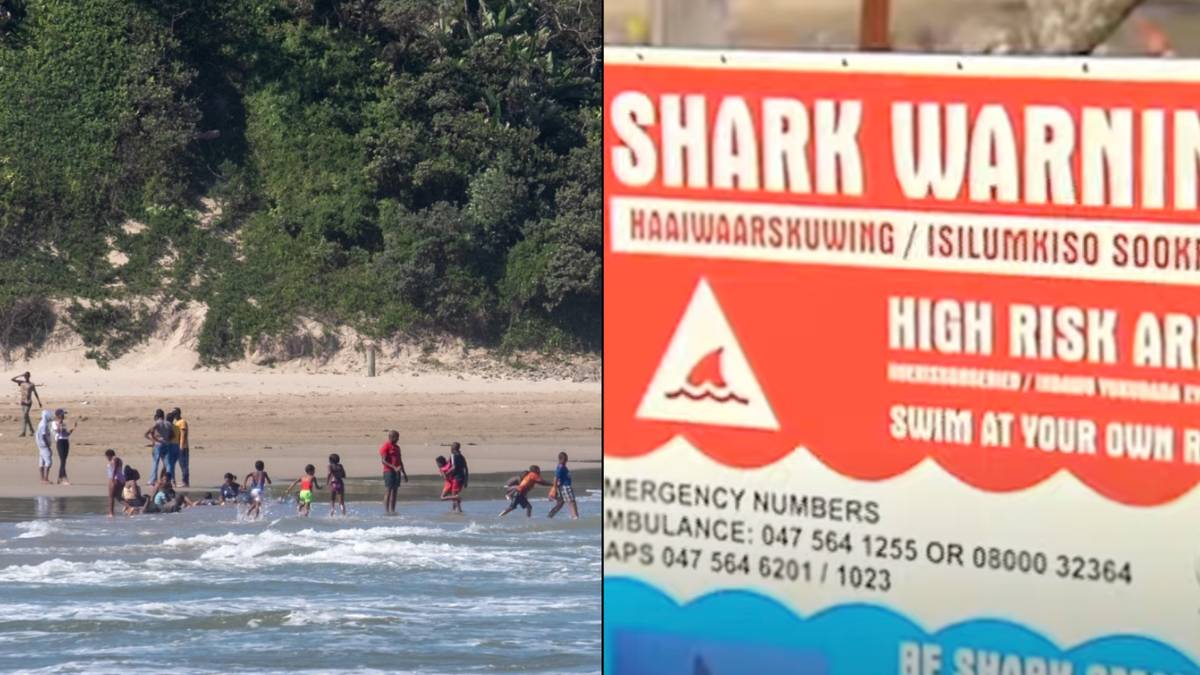 Mystery As World’s Deadliest Beach Exploded With Fatal Shark Attacks ...