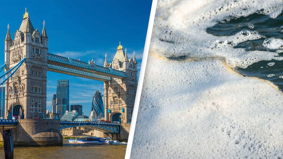 Two Billion Litres Of Raw Sewage Pumped Into The Thames In Two Days two-billion-litres-of-raw-sewage-pumped-into-the-thames-in-two-days