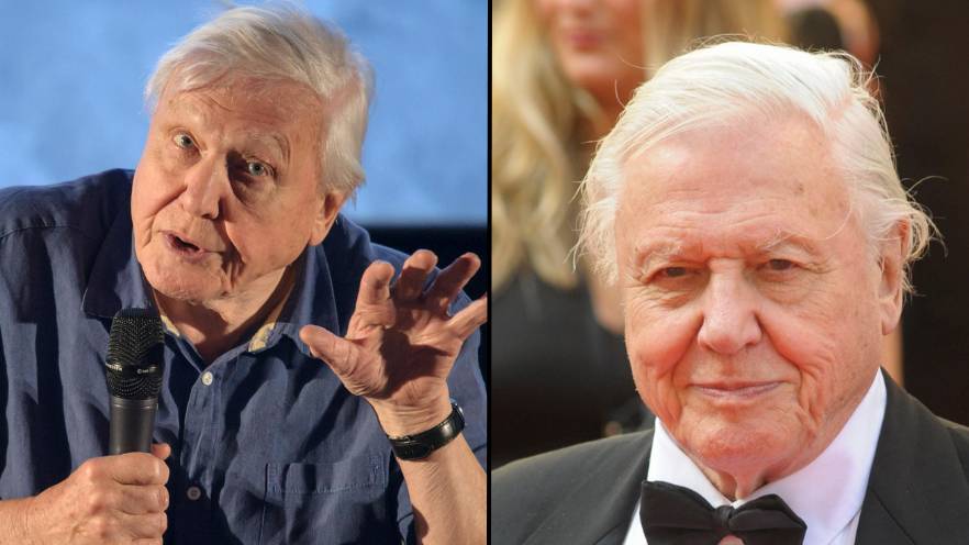 David Attenborough is so impressive he has more letters after his name