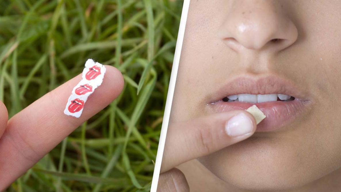 Lsd Addicts Woman who took 550 times the usual dose of LSD had surprising effects after