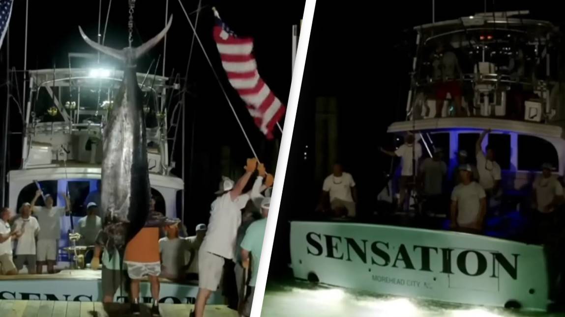 Fishing crew denied $3.5 million prize after 600-lb marlin gets ...