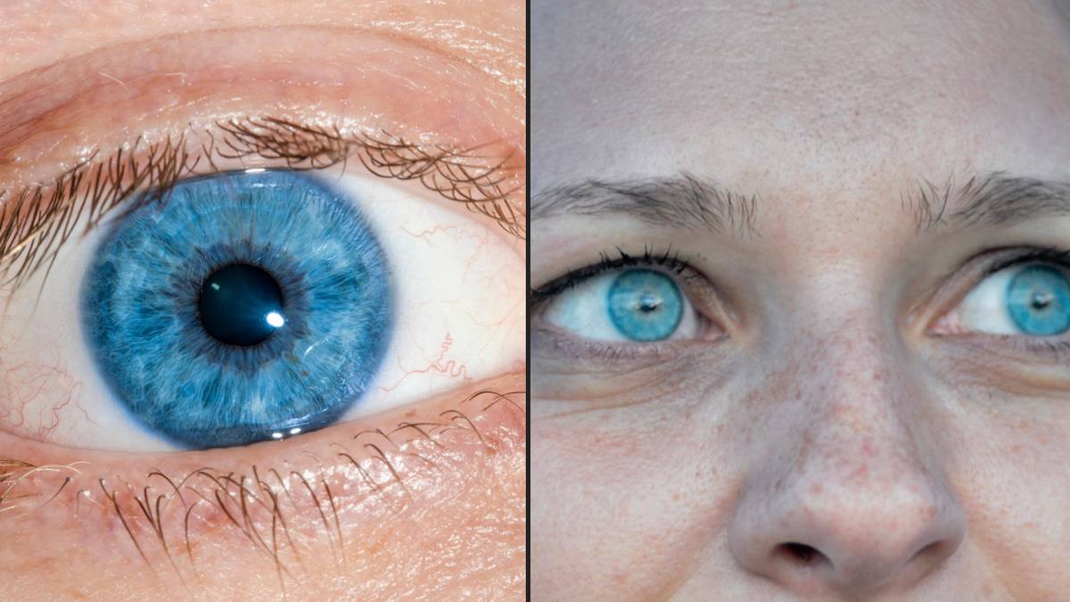 Every blue-eyed particular person on Earth is a descendant of one single particular person, scientists acquire thumbnail