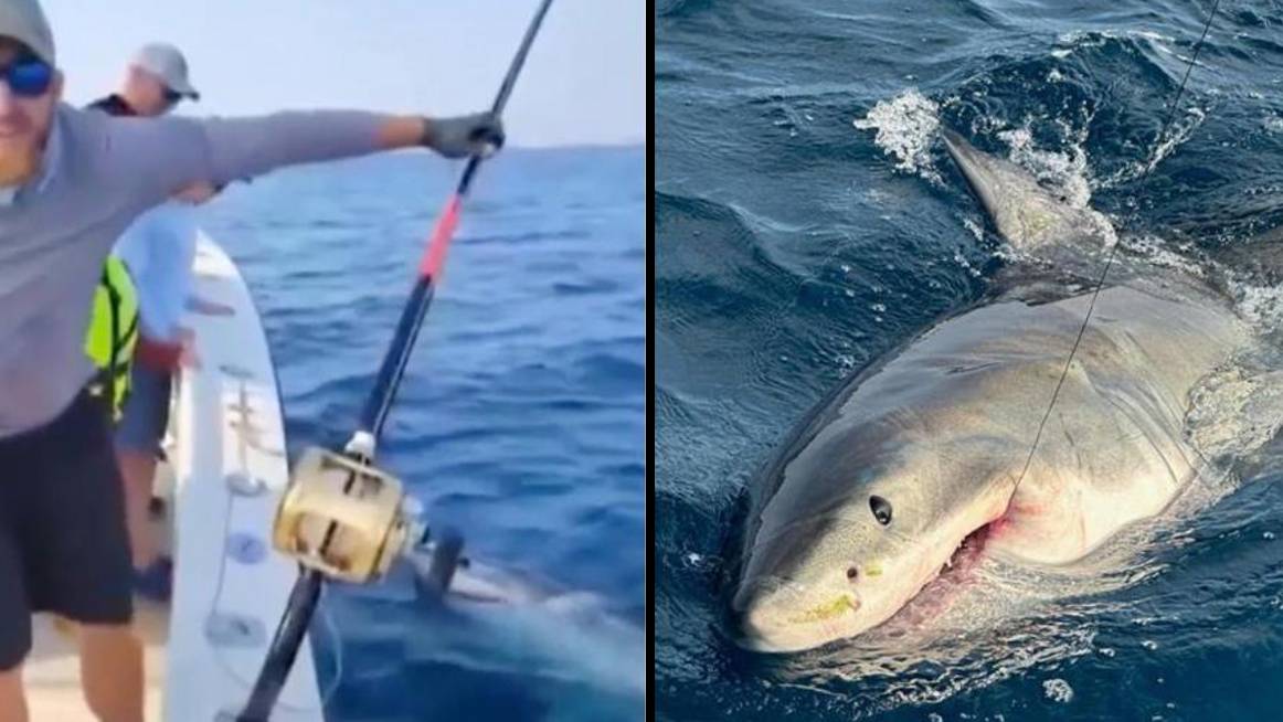 Family on holiday left stunned after fishing trip sees them reel in a ...