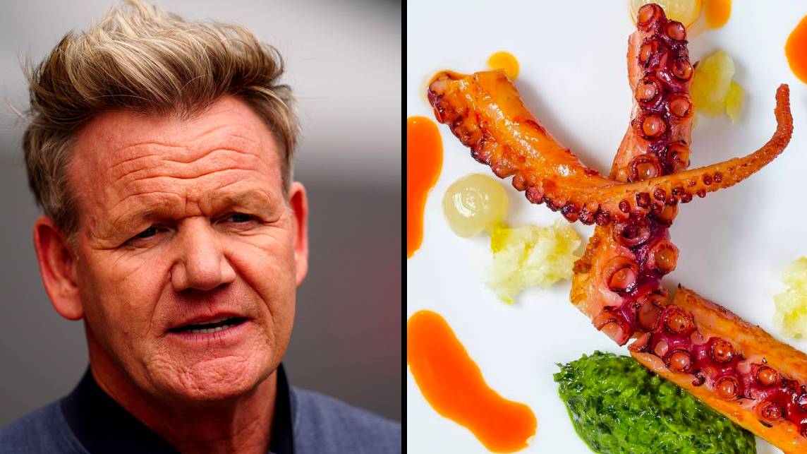 UK news: PETA threatens Gordon Ramsay with 'ancient curse' if he doesn ...