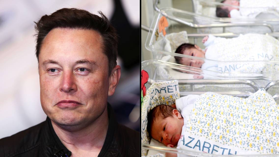Elon Musk Says A Low Global Birth Rate Is Far More Serious Than Global elon-musk-says-a-low-global-birth-rate-is-far-more-serious-than-global