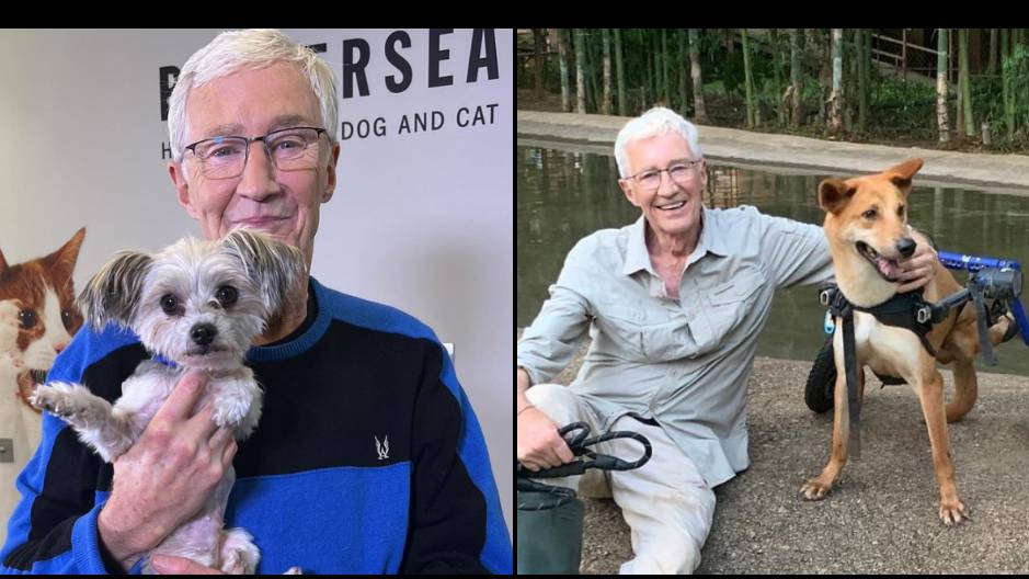 Paul O Grady s Final Heartbreaking Post About Death Of Pet Before He Died paul-o-grady-s-final-heartbreaking-post-about-death-of-pet-before-he-died