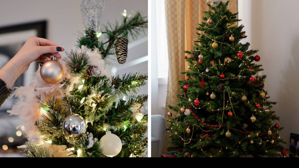 What date you should put up your Christmas tree to avoid bad luck