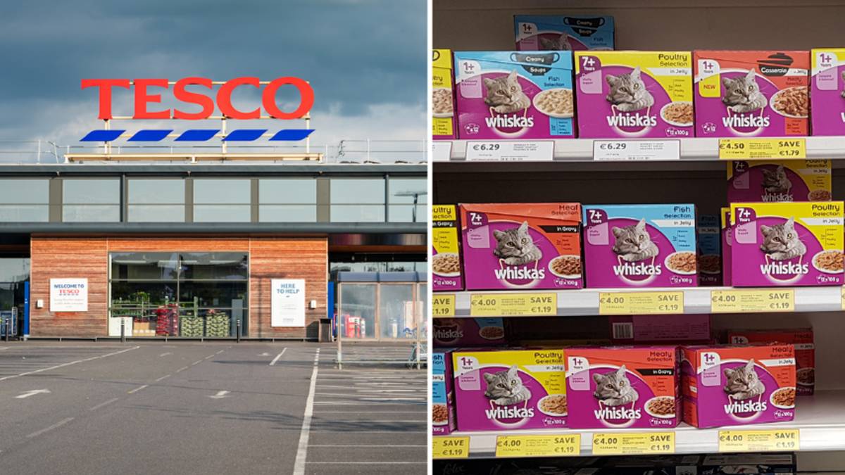 Whiskas soup asda hot sale