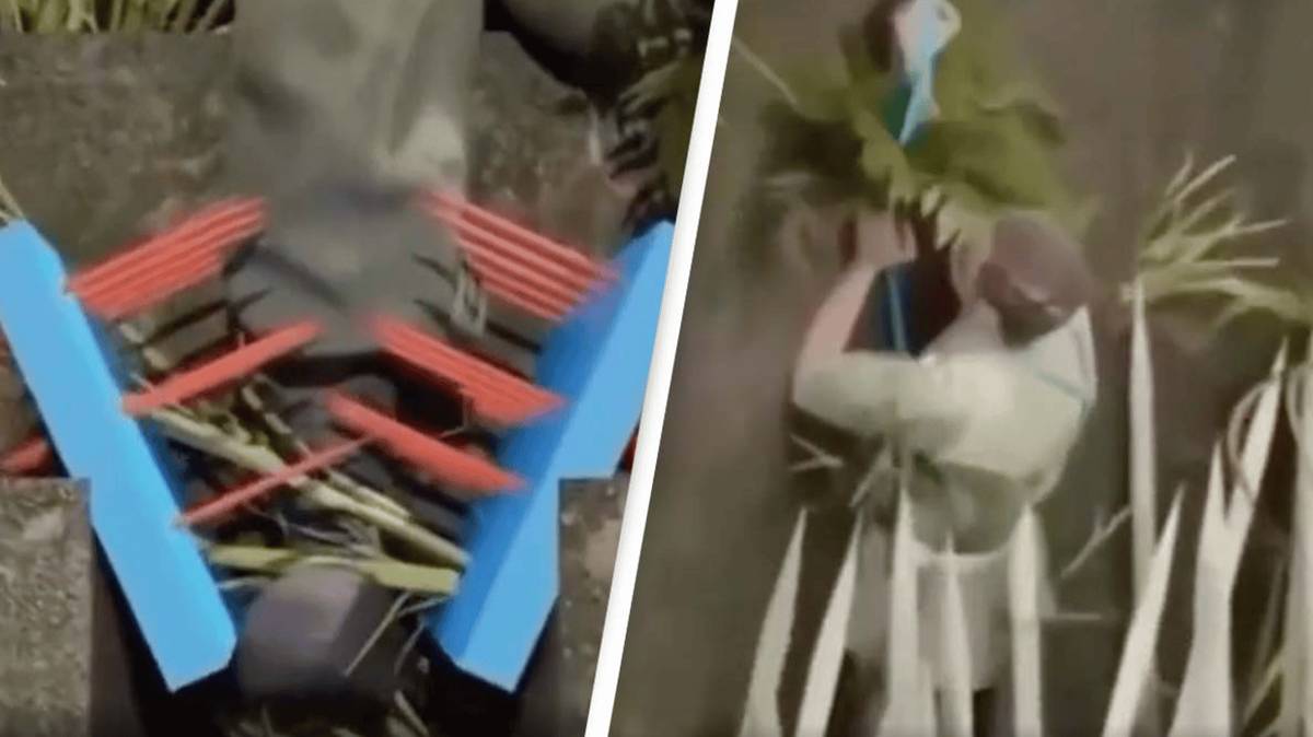 Wart Raps Simulation of 'horrific' traps used in Vietnam War leaves people terrified