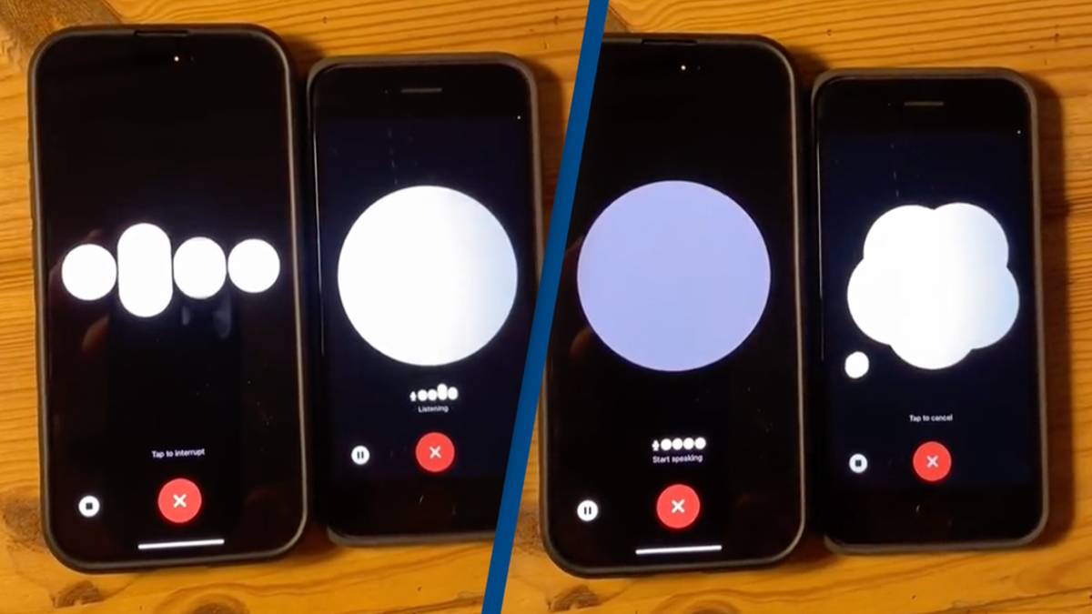 TikTok video of two AI chatbots playing game of 20 questions together