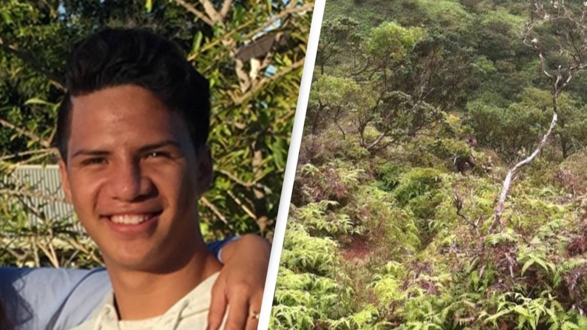 Man who went missing on Hawaii Stairway To Heaven hiking trail took