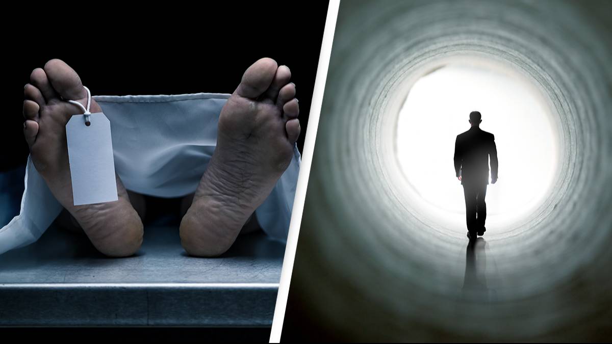 Extremely Accurate AI Death Calculator Predicts When You ll Die extremely-accurate-ai-death-calculator-predicts-when-you-ll-die