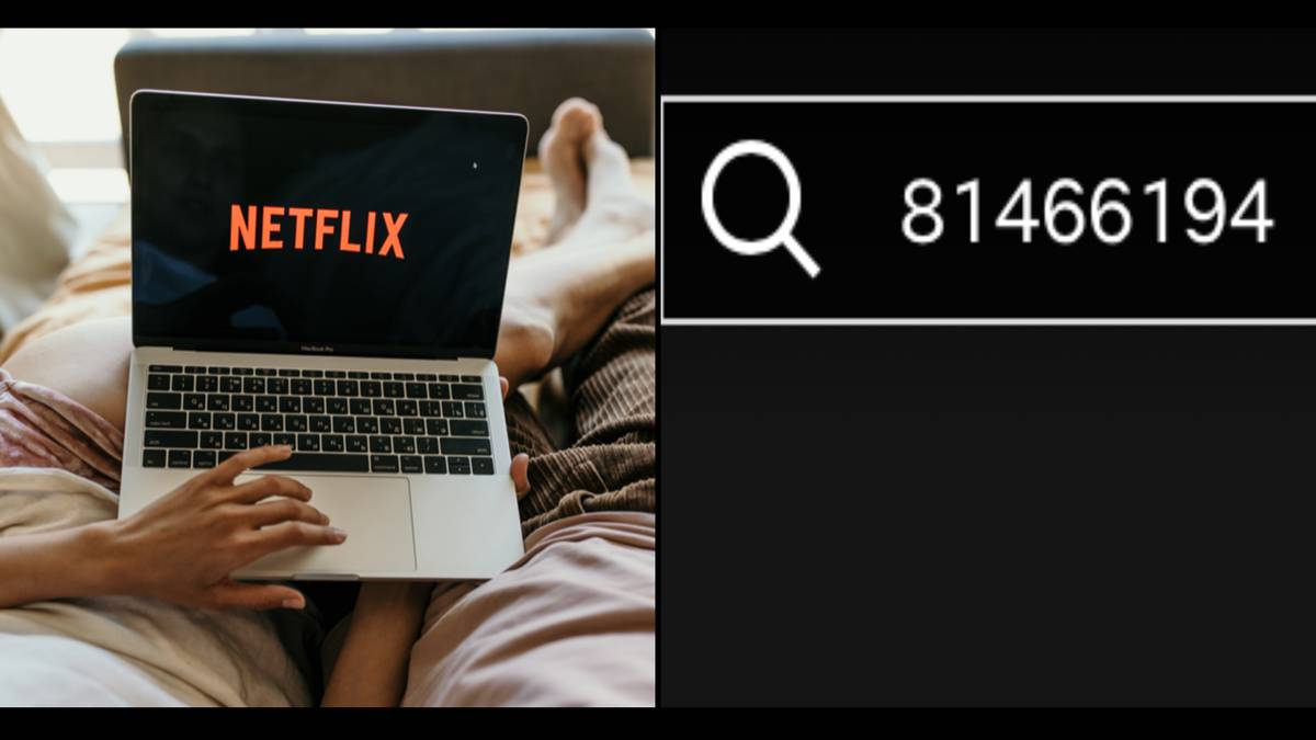 Netflix shares 81466194 code for viewers short on time