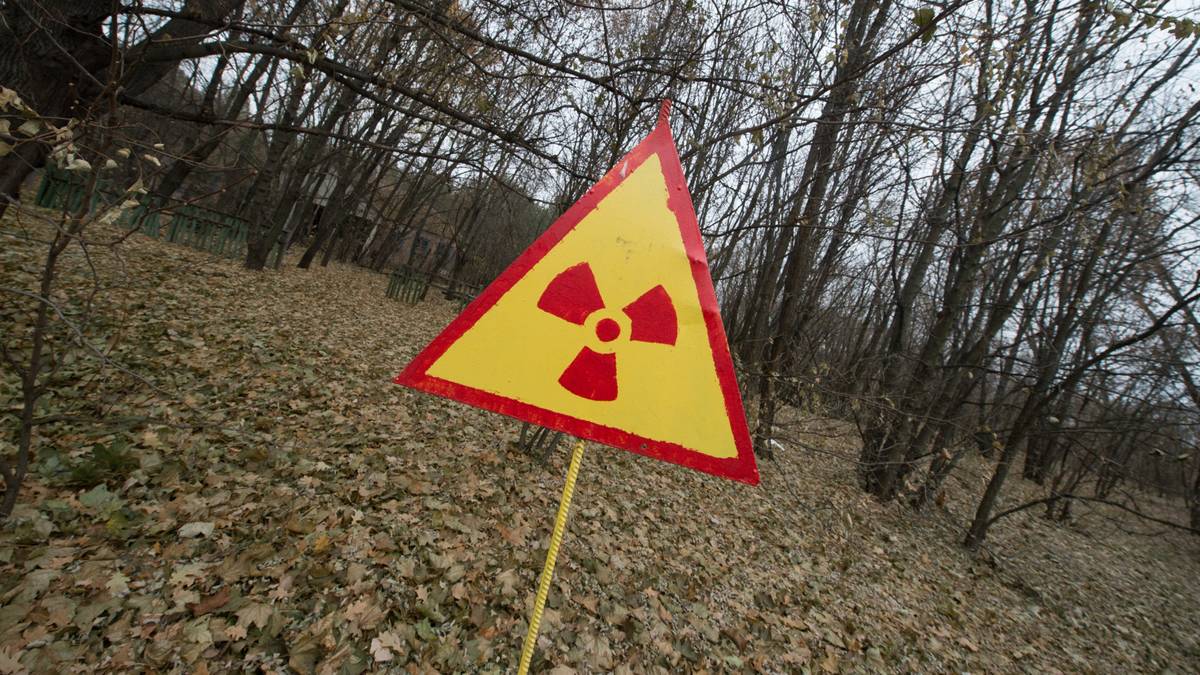 Загрязнено радиация. Чернобыль радиоактивный выброс Чернобыль. Радиоактивный лес Чернобыль. Радиоактивный лес Электросталь. Радиоактивное загрязнение местности.