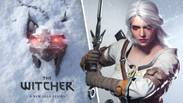 The Witcher 4 development update is just what we wanted to hear 