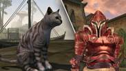 Parent Mods Family Cat Into 'Morrowind' To Protect Kids From Monsters