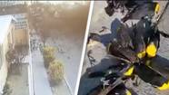 Horror As Hundreds Of Birds Suddenly Fall From Sky In 'Apocalyptic' Footage