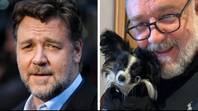Russell Crowe breaks down in tears live on-air over the death of his puppy